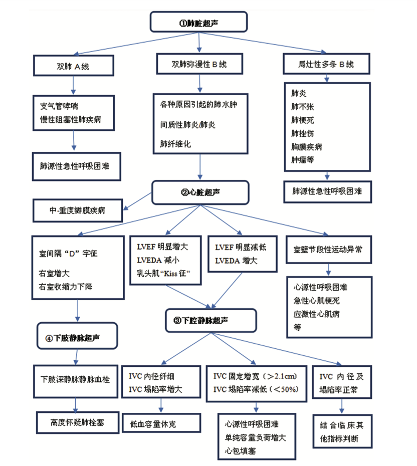 腹部及外周静脉血管超声若干临床常见问题专家共识(图2)